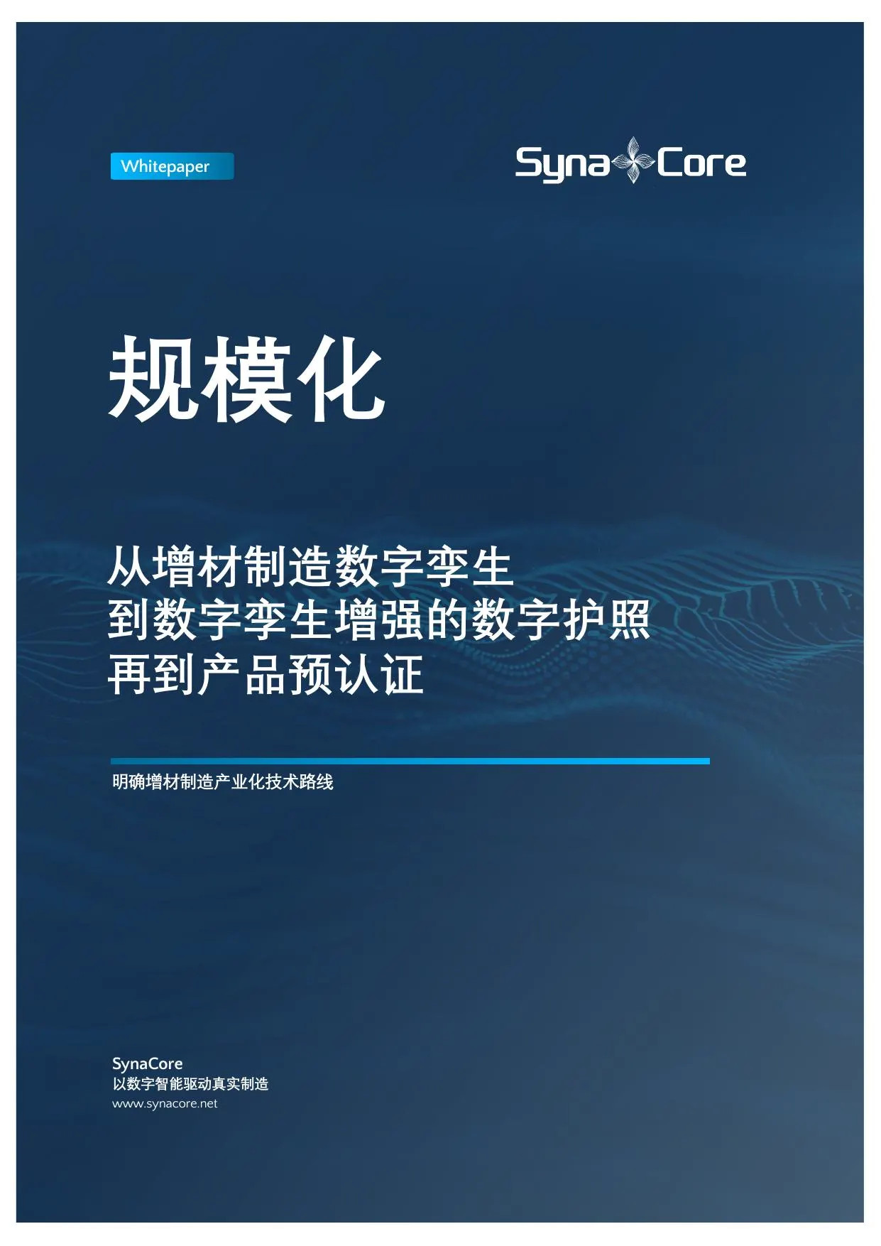 白皮书 1 封面